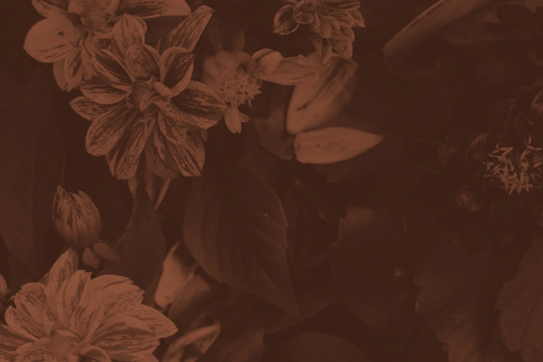 ks-header-02.jpg