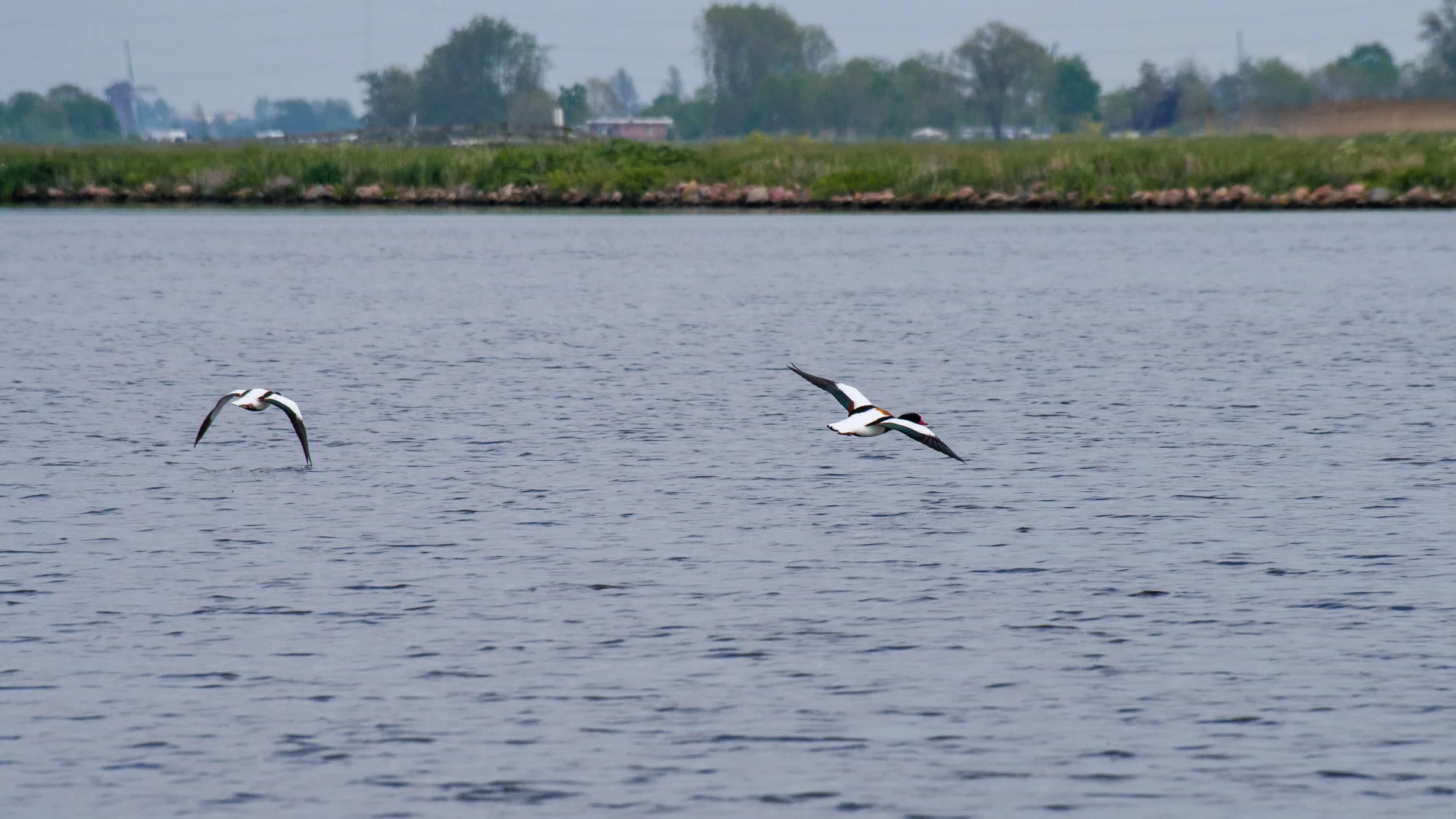 20190507-BenHoogduin-9104.jpg