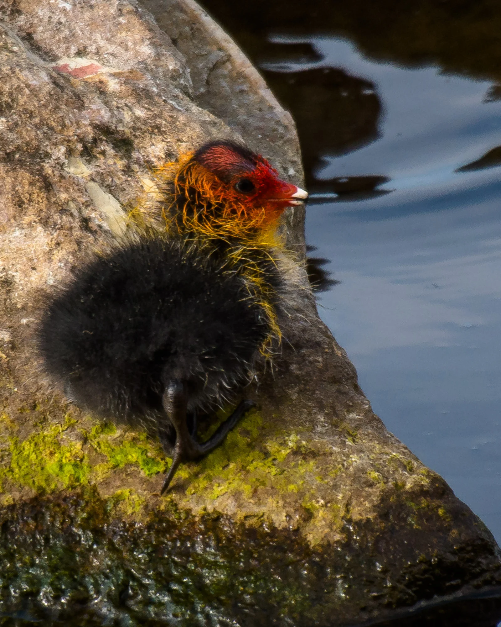 20190507-BenHoogduin-9231.jpg