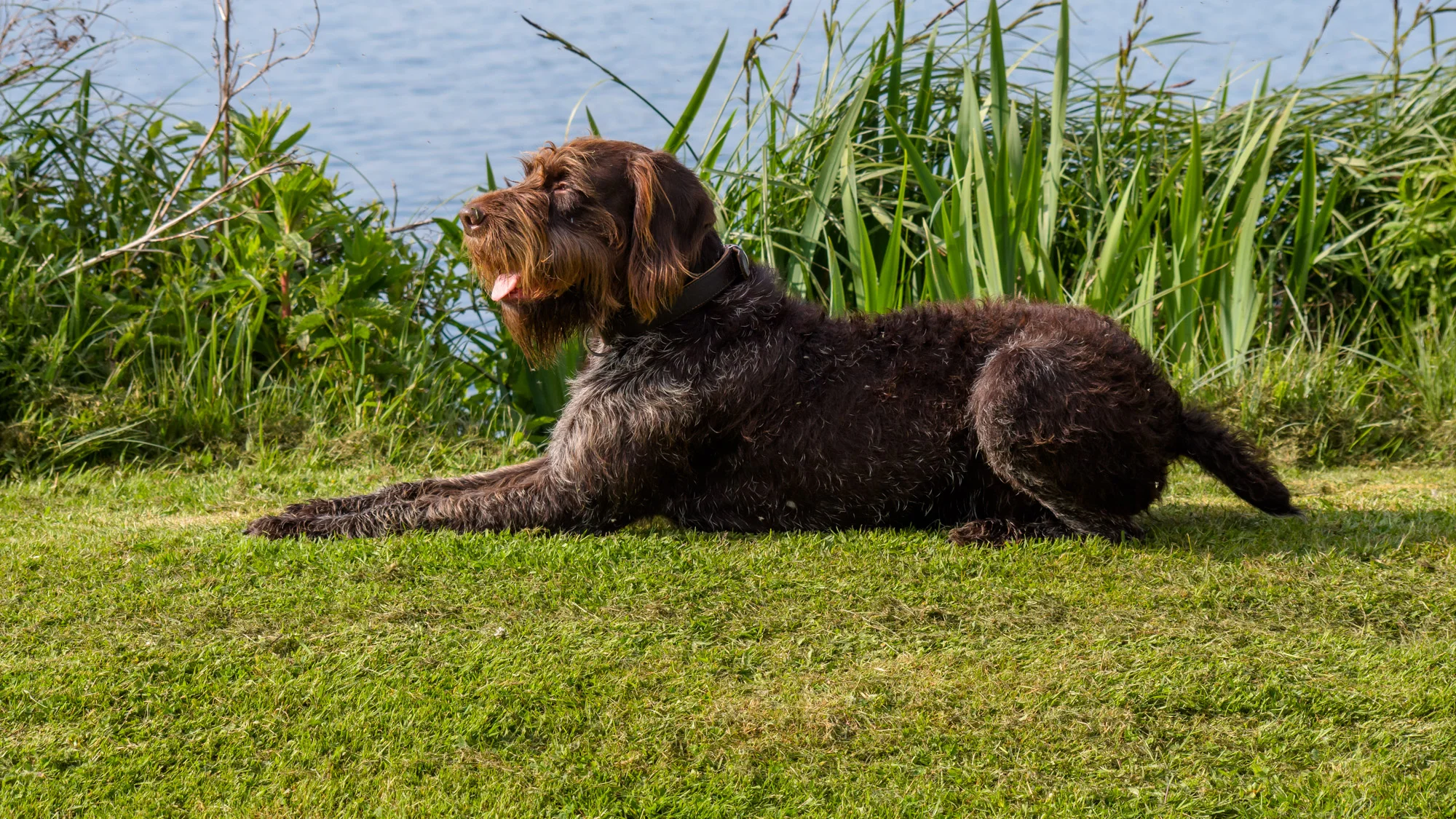 20190507-BenHoogduin-9236.jpg