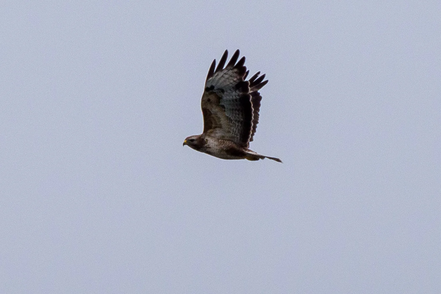 20190521-BenHoogduin-2-9887.jpg