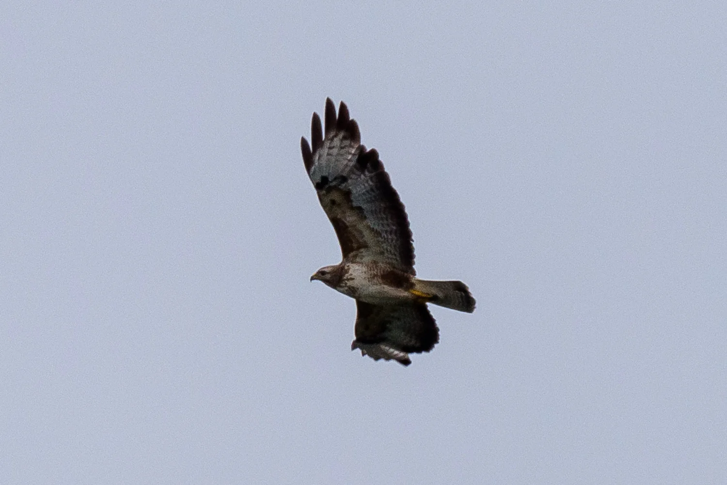 20190521-BenHoogduin-2-9888.jpg