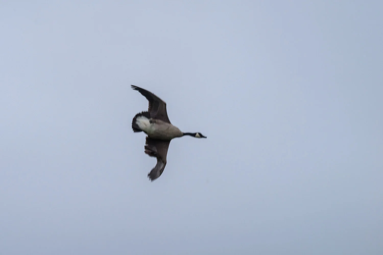 20190521-BenHoogduin-2-9944.jpg