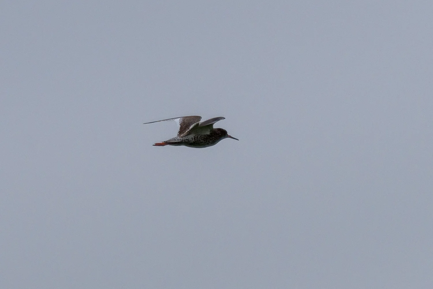 20190521-BenHoogduin-2-9957.jpg