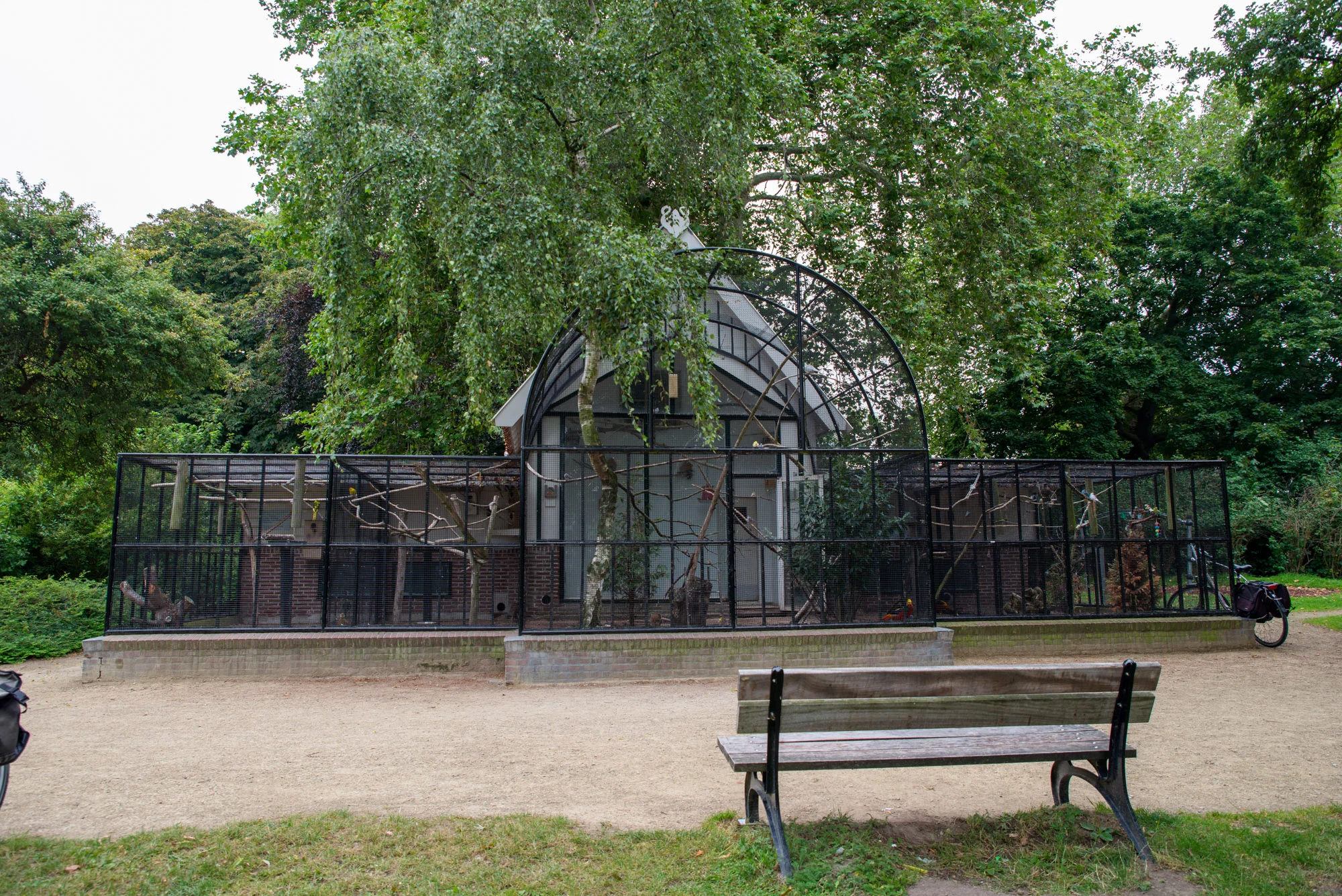 20190728-singelschilders2-2231.jpg