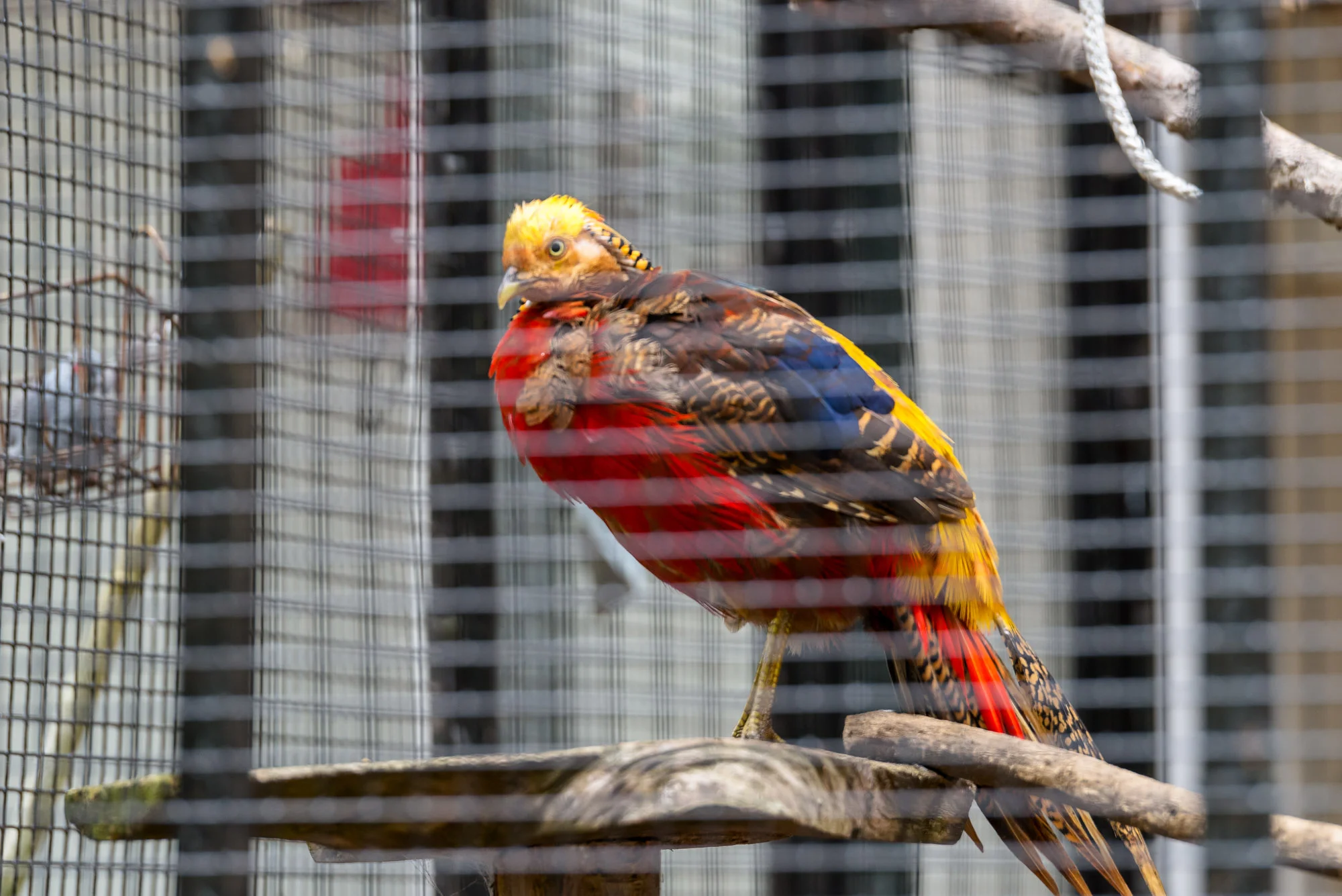 20190728-singelschilders2-2312.jpg