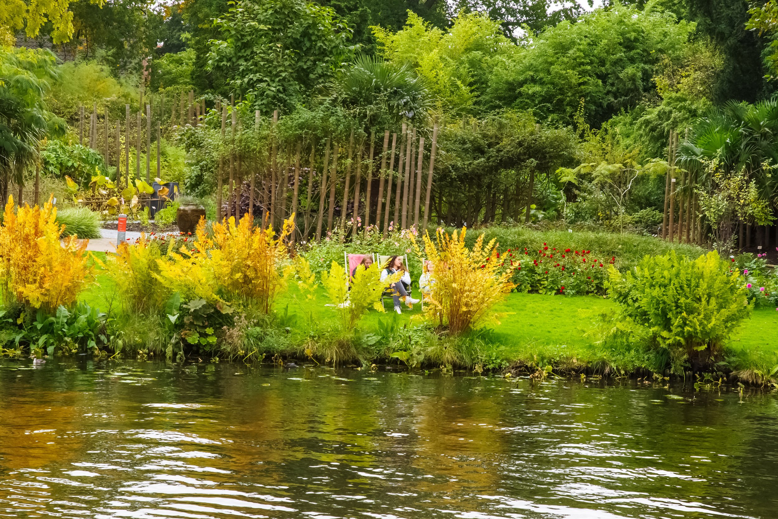 20221003-3october-9128.jpg