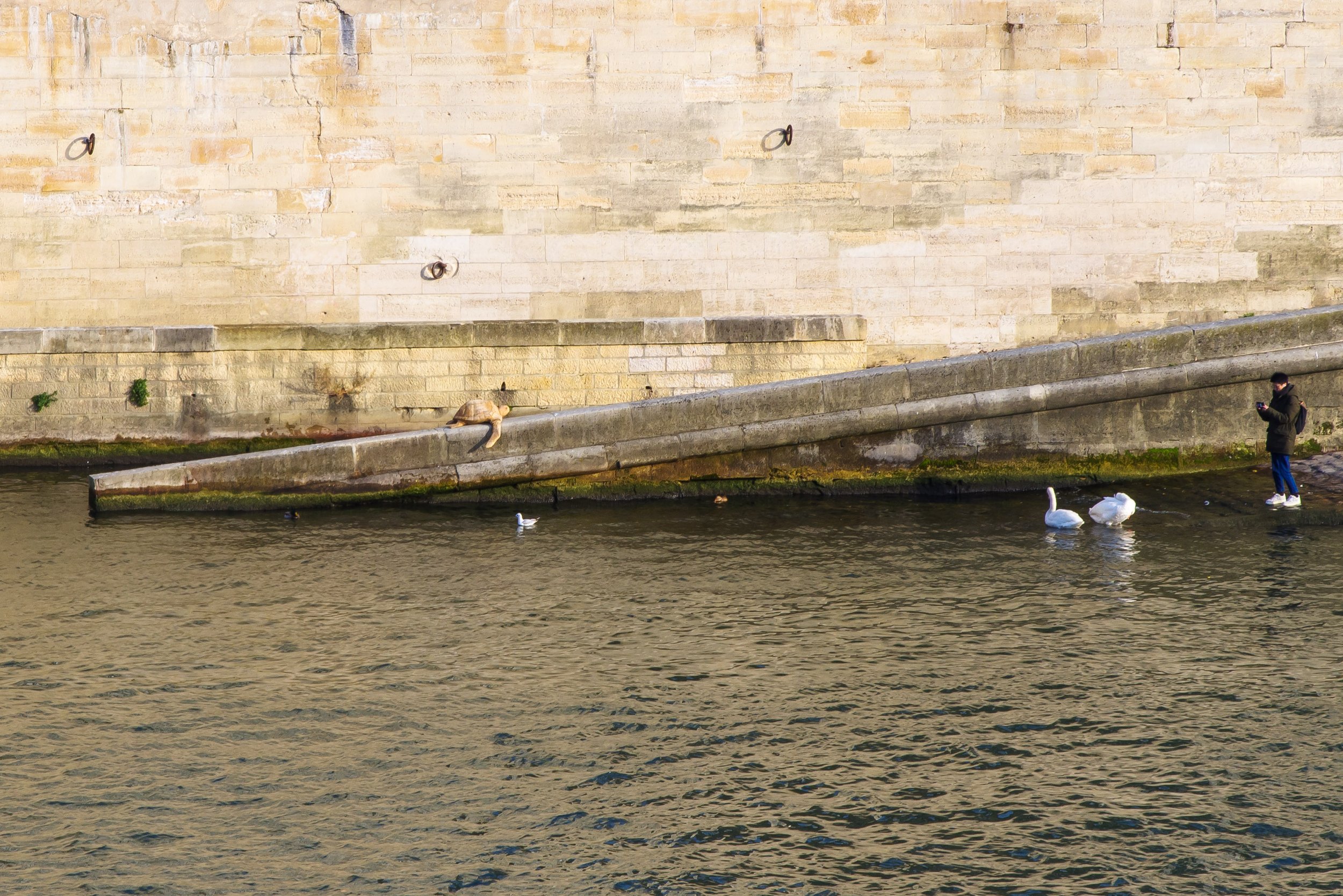 20221215-Parijs-1206.jpg