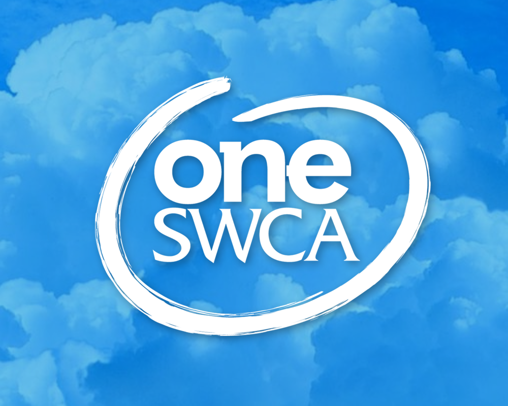 One SWCA_thumb.png