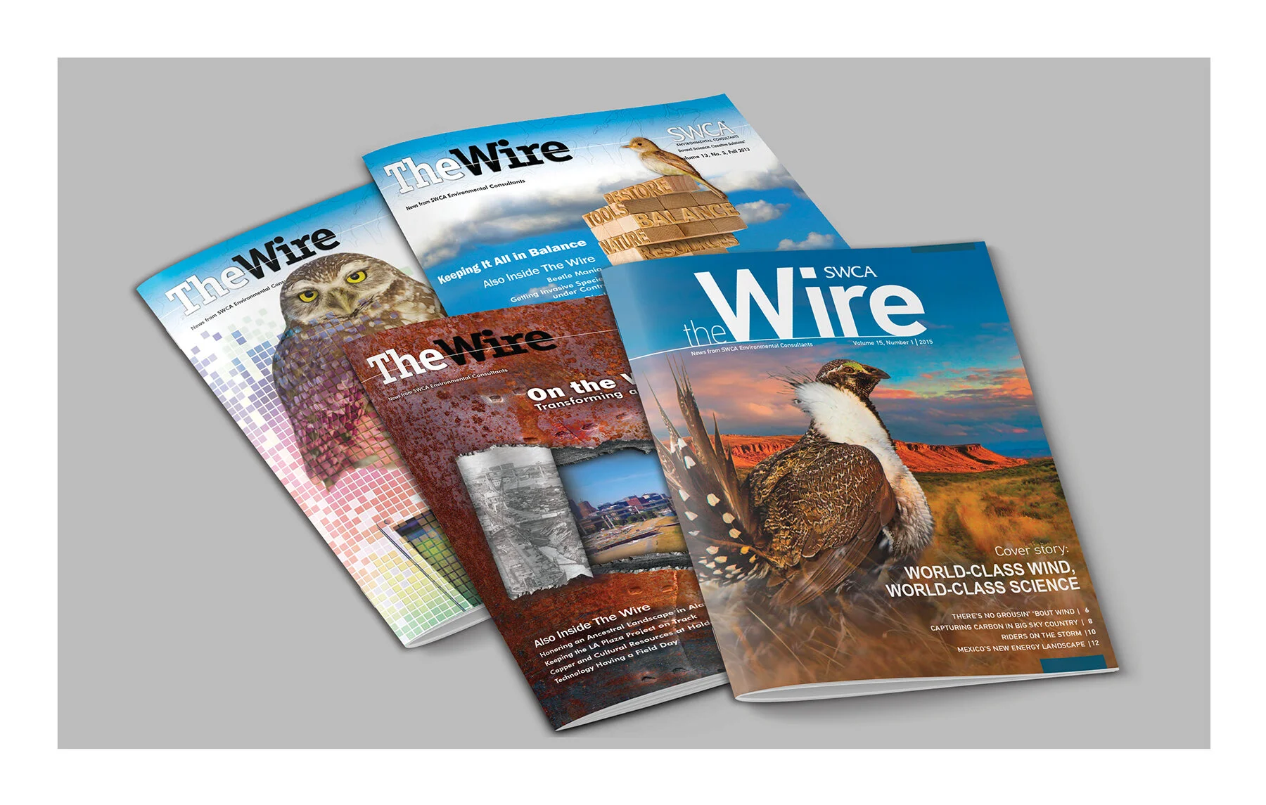 wire covers.jpg