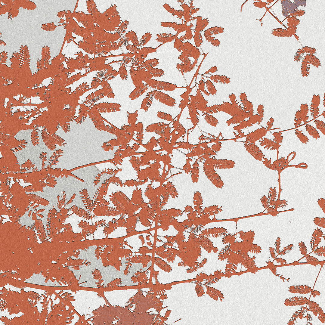 LJ_Fern Sprays_Auburn_Macro_Website.jpg