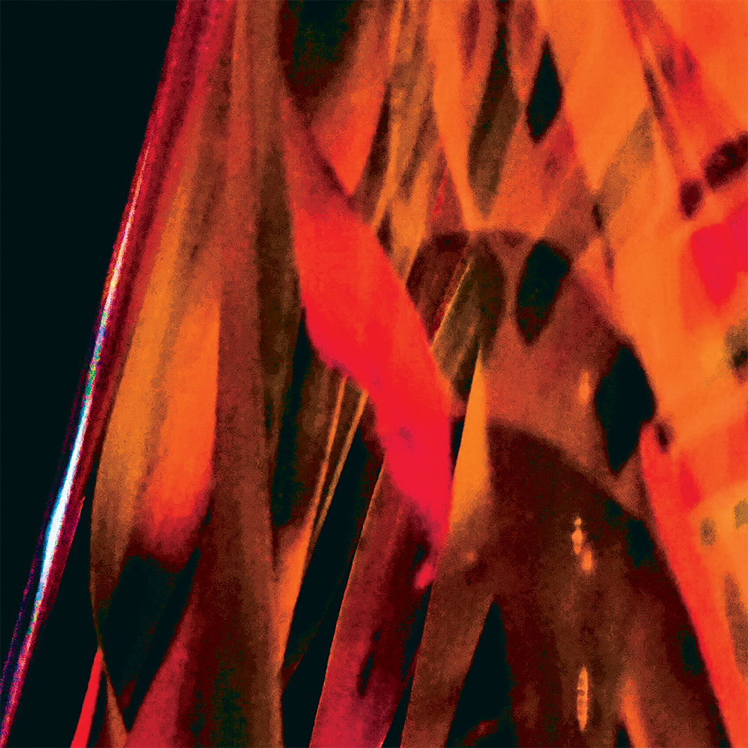 LJ_FireGaze_Red_Macro_Website.jpg