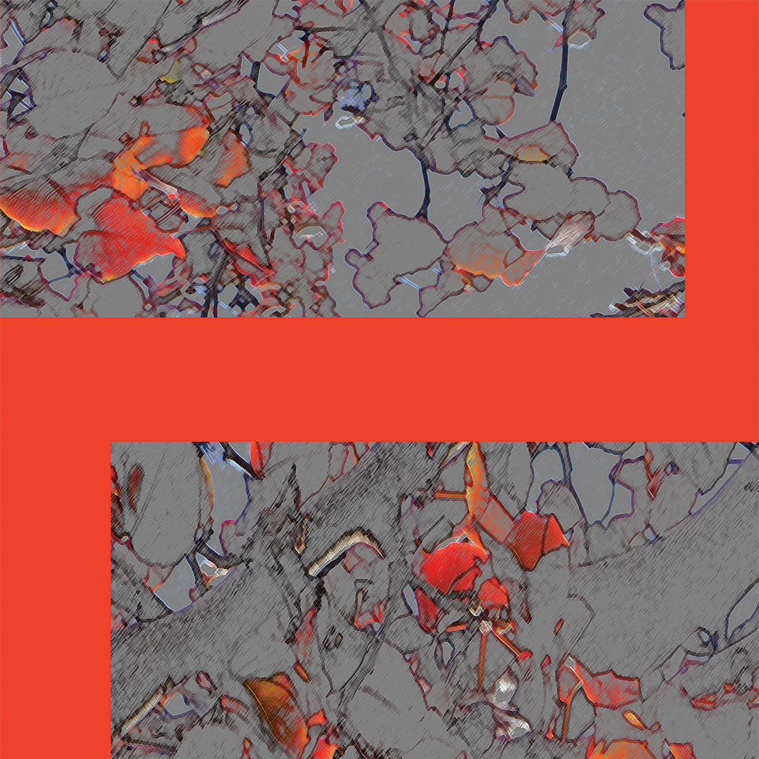 LJ_OpenHeart_Red_Macro_Website.jpg