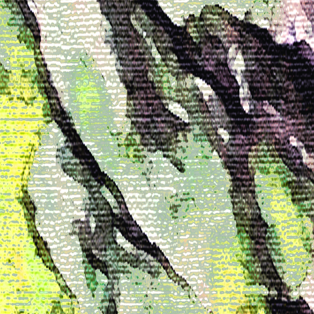 lj_reefbark_macro_lime_pattern.jpg