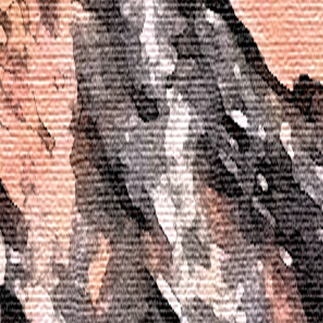 lj_reefbark_macro_original_website.jpg