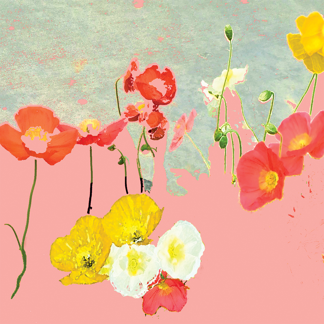 lj_seaofpoppies_macro_peaches_website.jpg