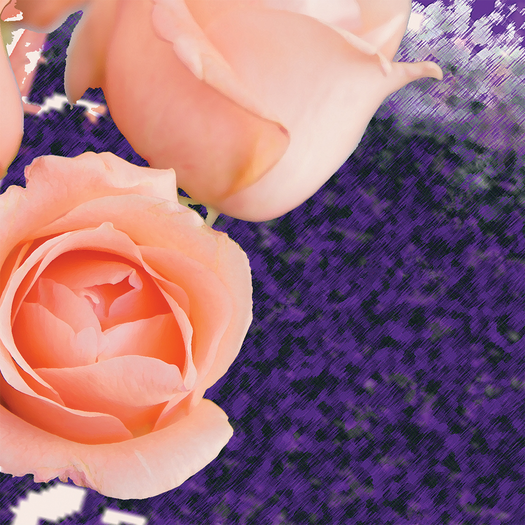 lj_springrose_macro_original_website.jpg