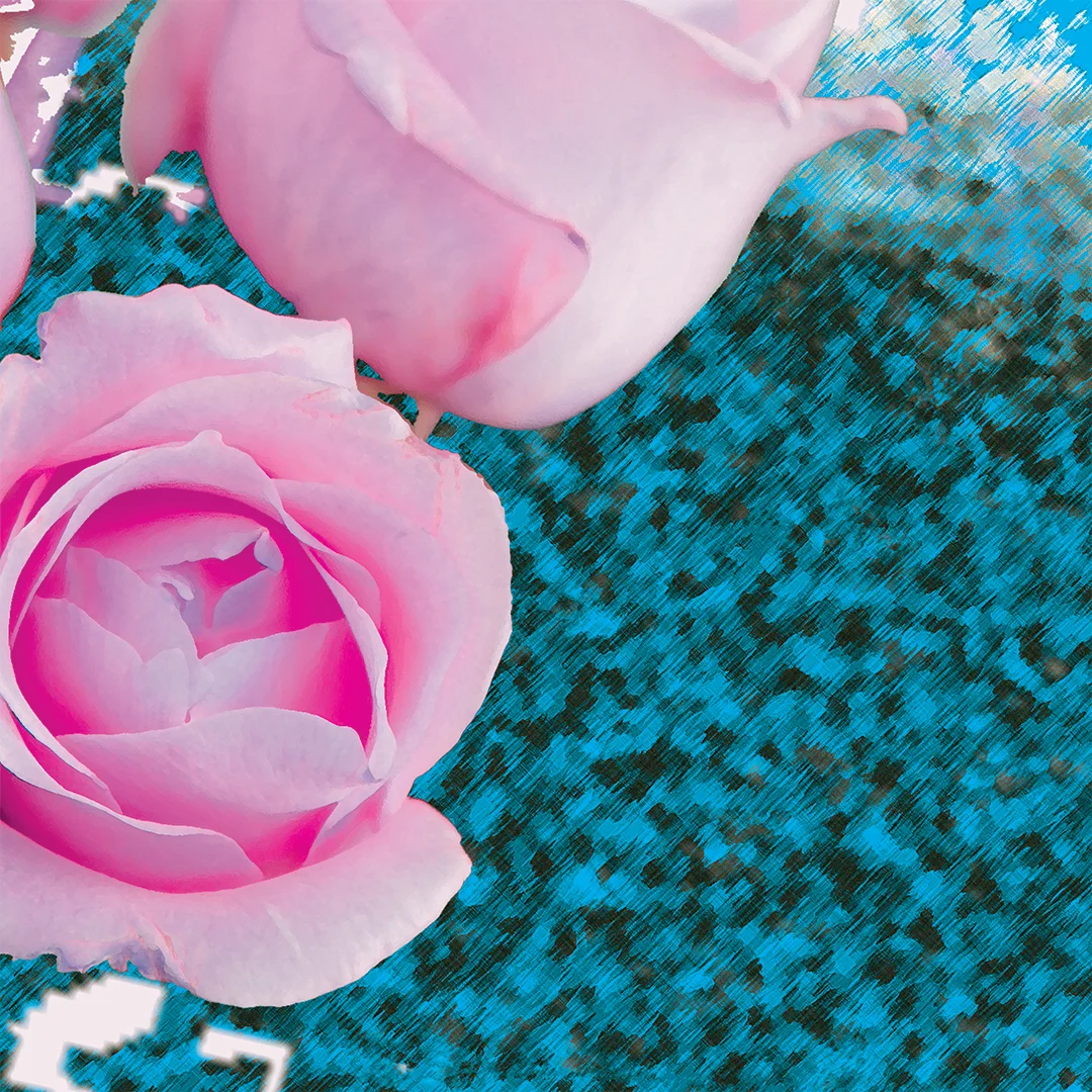 lj_springrosepinkteal_macro_website.jpg