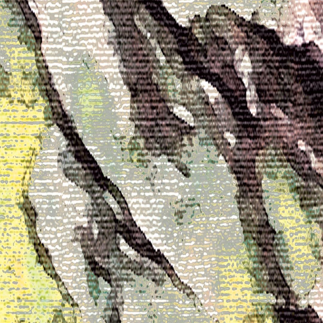 lj_reefbark_macro_lime_website.jpg