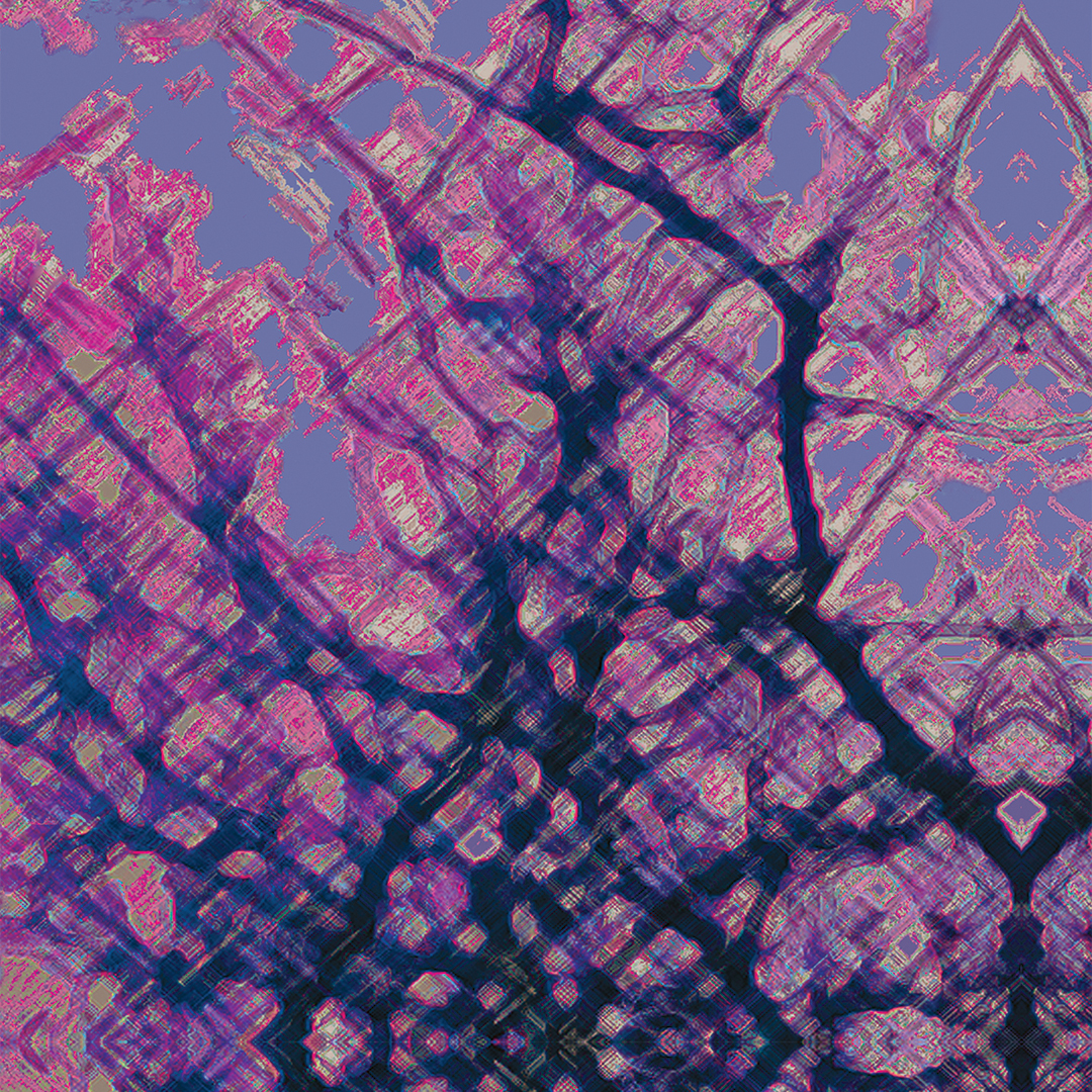 lj_sunsetridge_macro_deepbluemauve_website.jpg