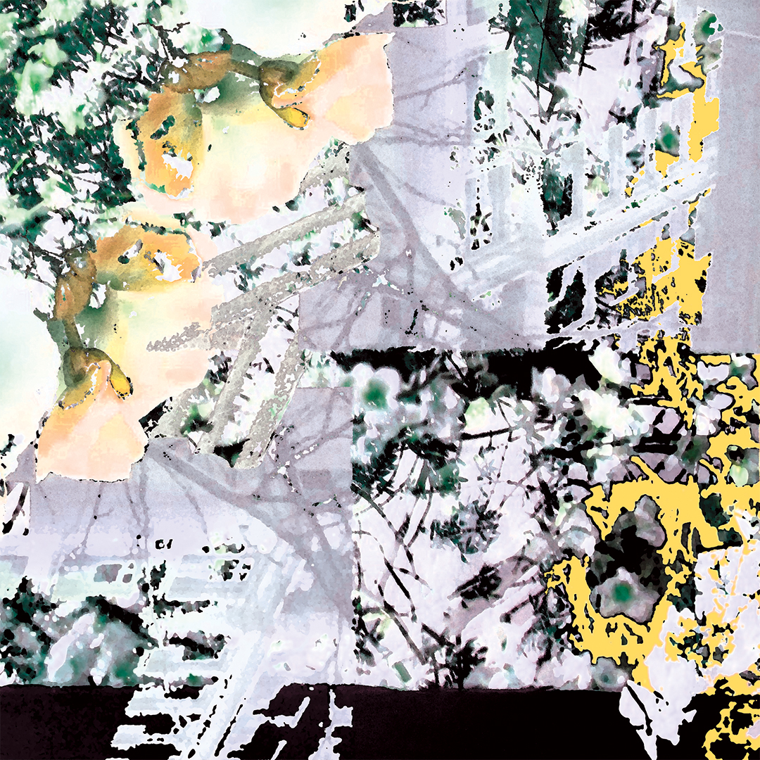 lj_urbanscapes_macro_sungreens_website.jpg