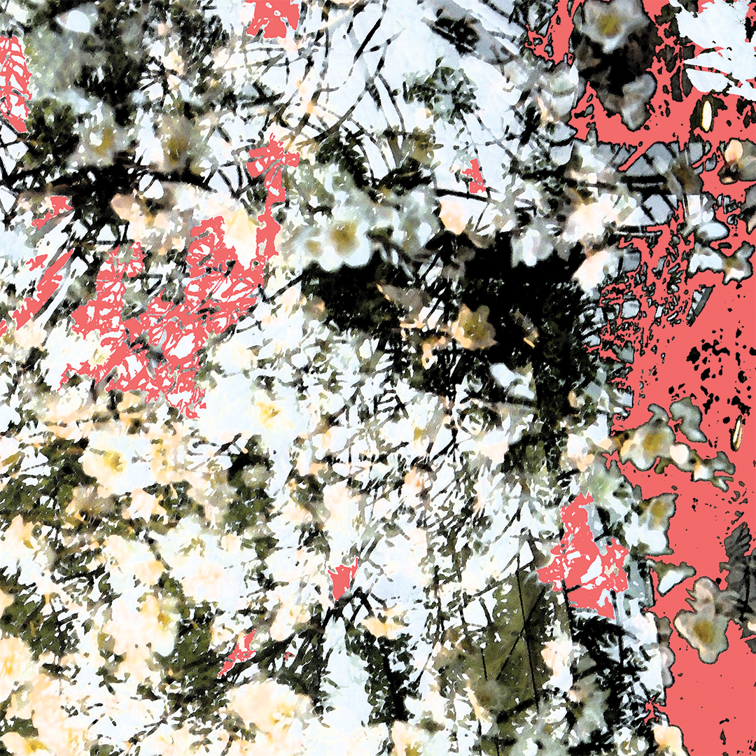 lj_urbanscapes_macro_peachwhite_website.jpg