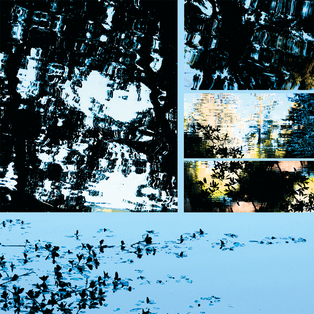 lj_waterlight_macro_bluesky2_website.jpg