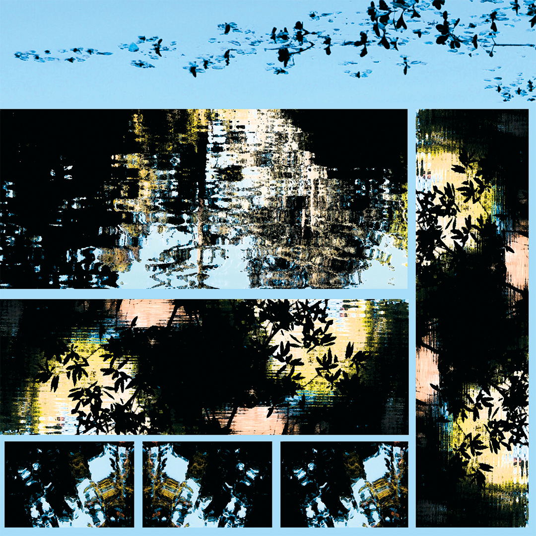 lj_waterlight_macro_bluesky_website.jpg