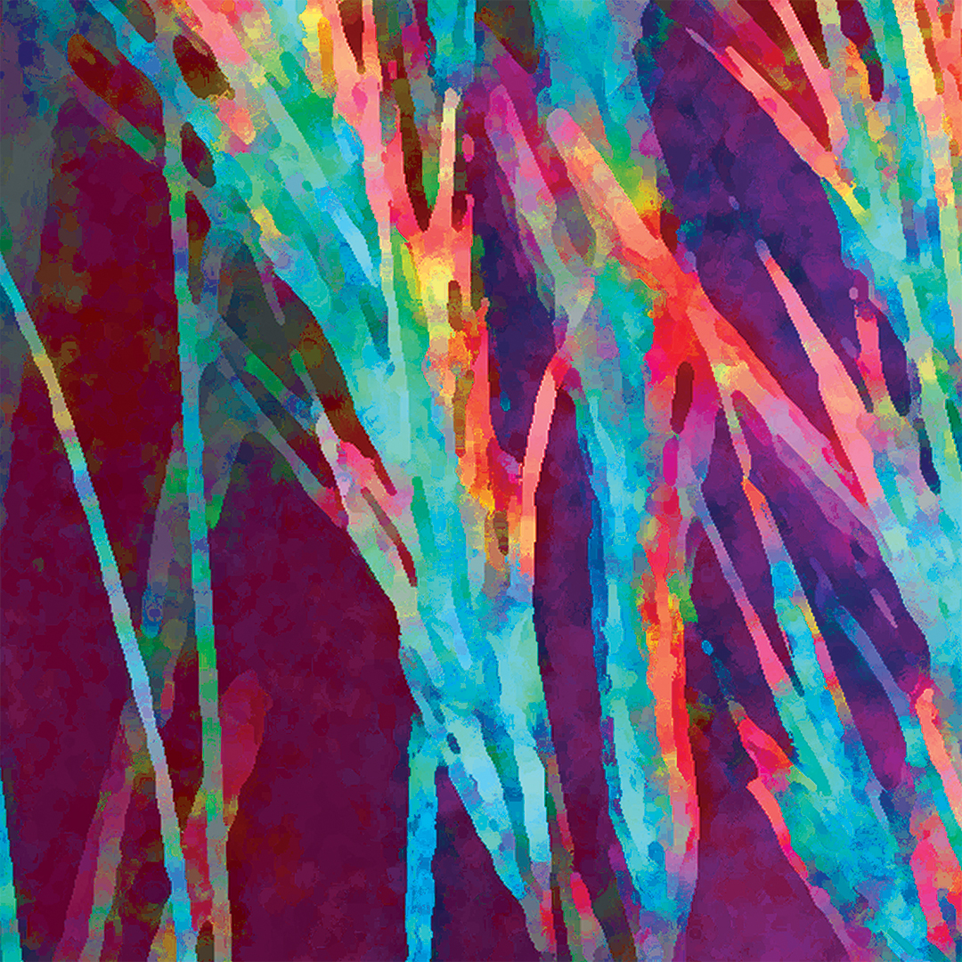 lj_wildgrasses_macro_holiday_website.jpg
