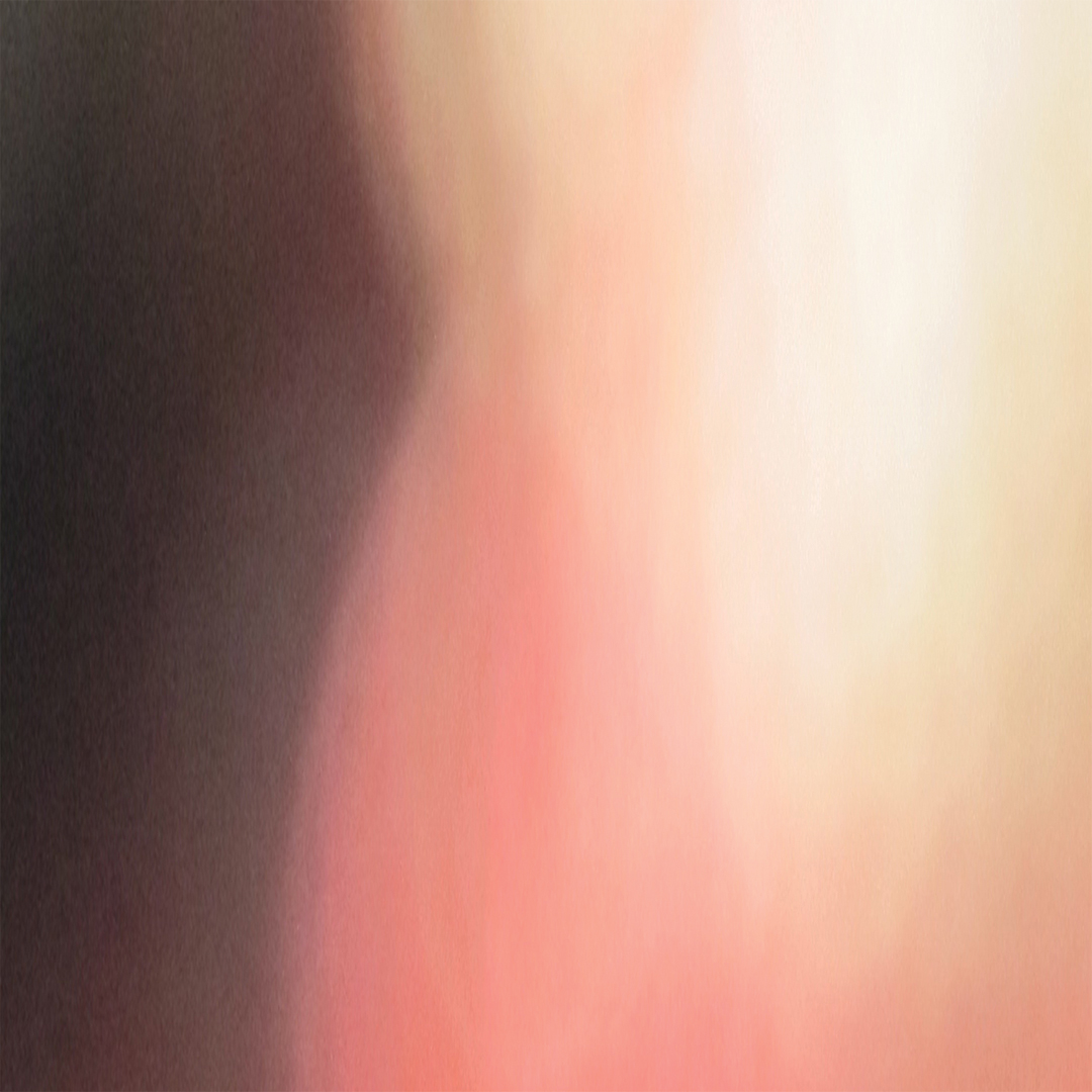 lj_zendreams_macro_reds1_website.jpg