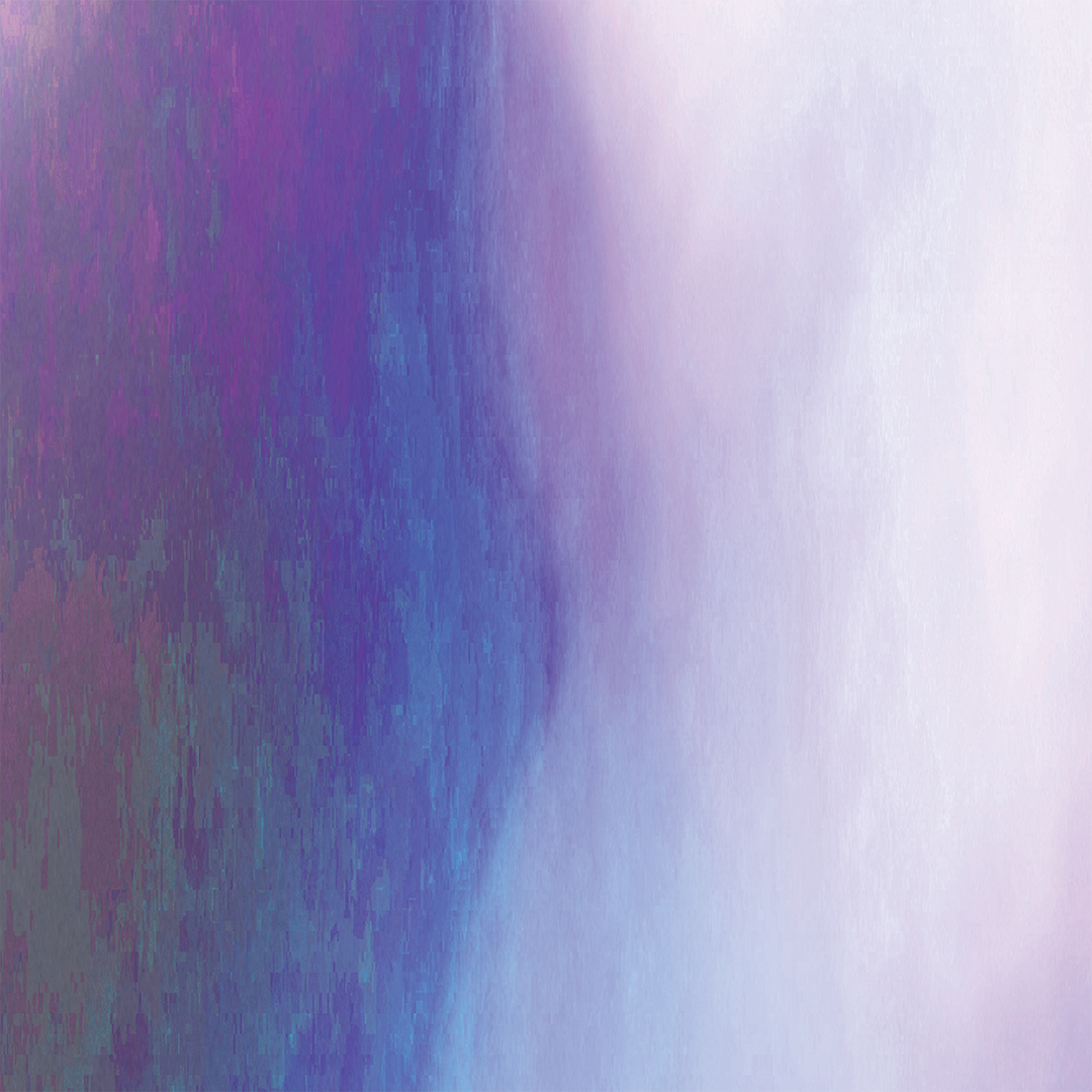 lj_zendreams_macro_purples1_website.jpg
