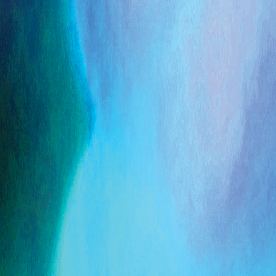 lj_zendreams_macro_blues2_website.jpg