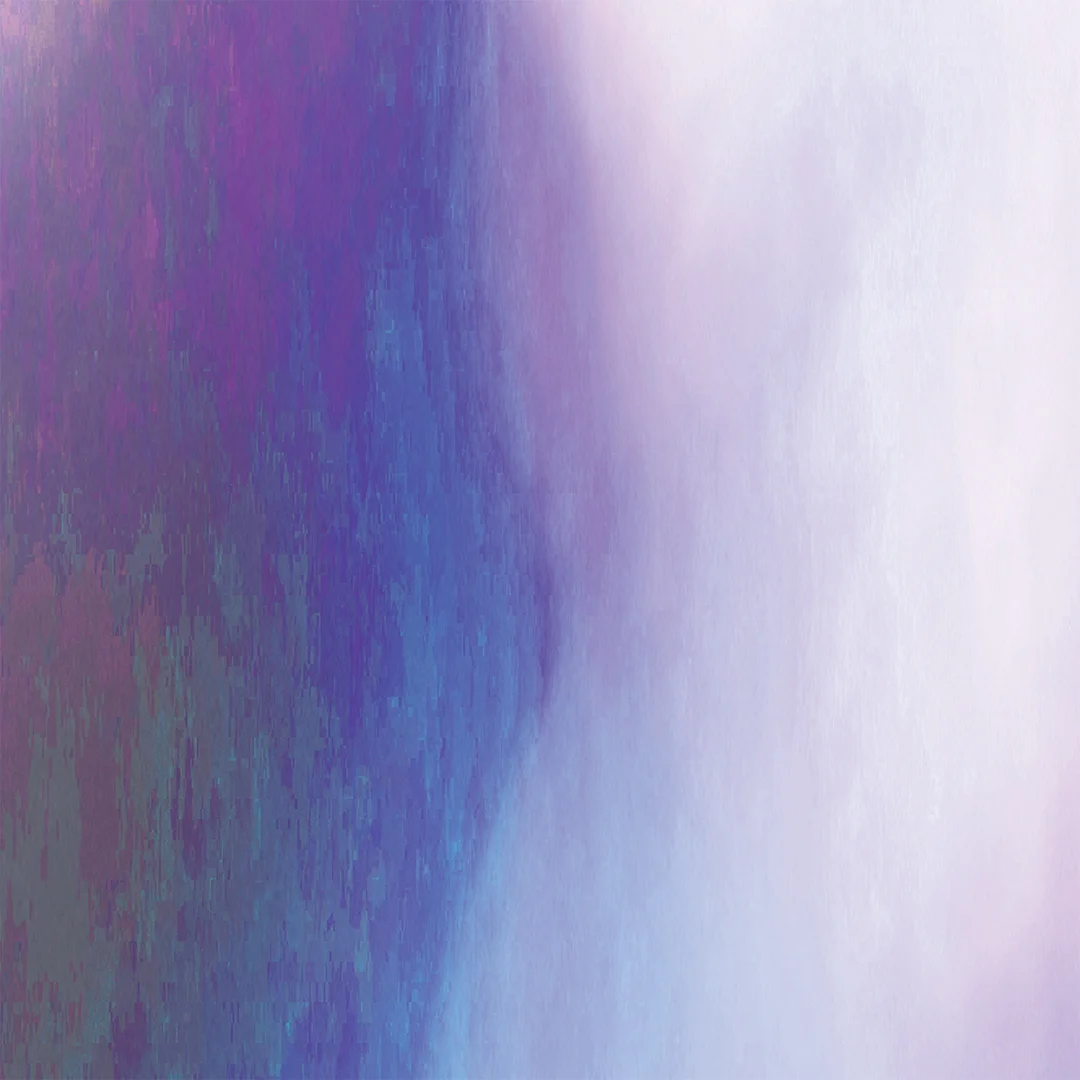 lj_zendreams_macro_purples1_website.jpg