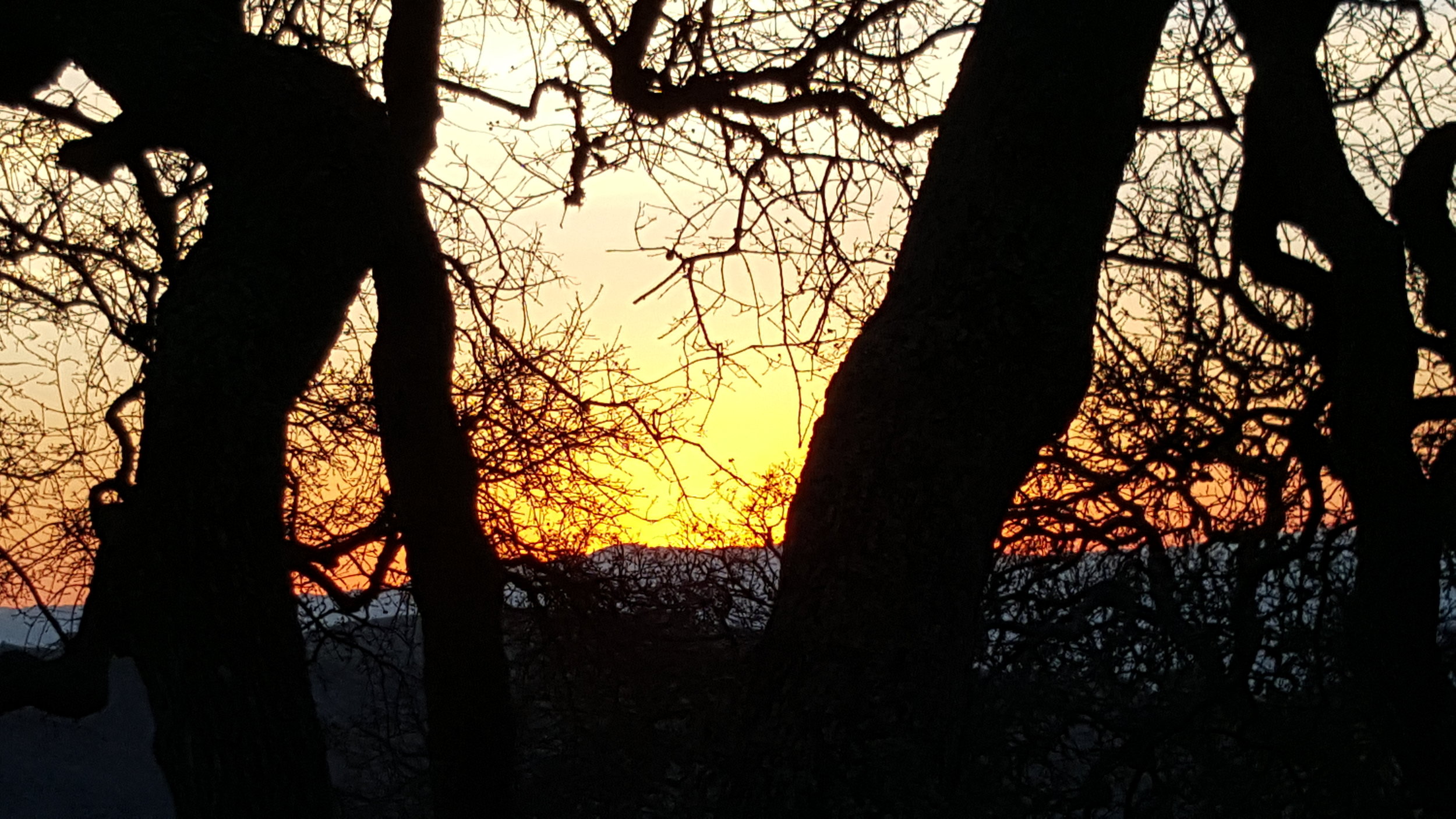 SunsetRidge.inspiration.20160205_173152-3.jpg