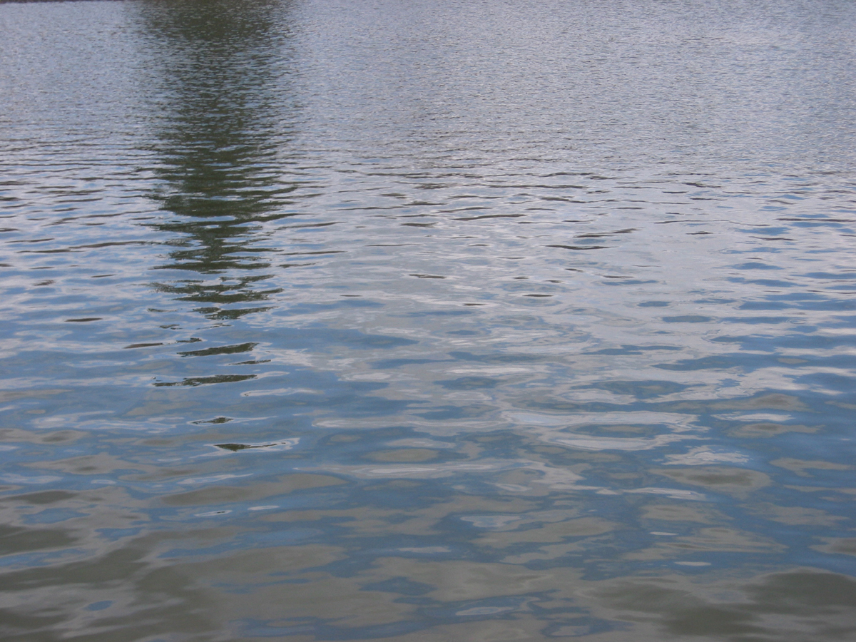 Wannier_#1_Waterlight1.jpg