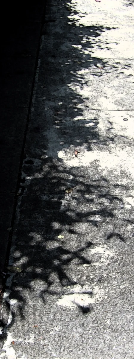 Photo for Shadow_Sprays.jpg
