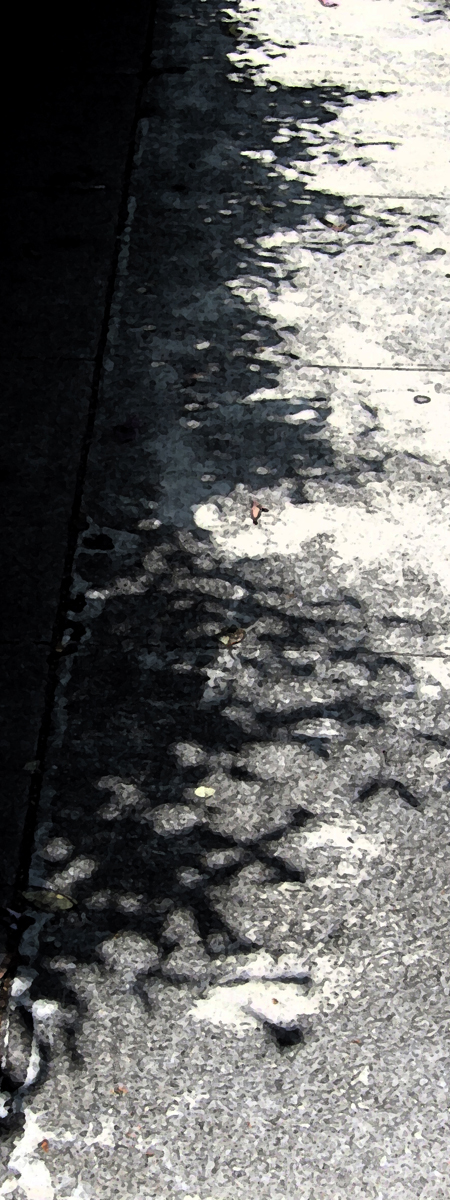 Photo for Shadow_Sprays.jpg