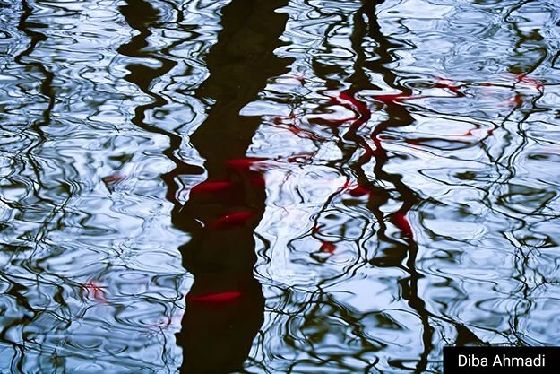 Gentle Waters Inspiration Photo.jpg