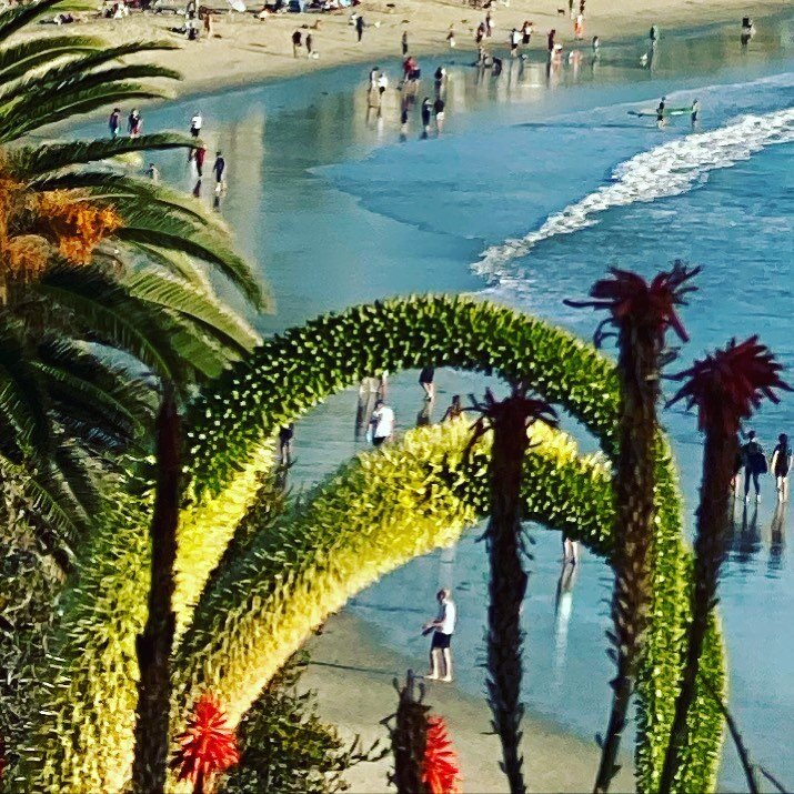 #laguna through the distance #palm #breeze #prayer #ocean #ease