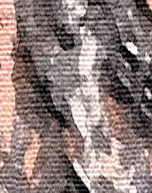 Screen Shot 2021-07-20 at 12.22.42 AM.png