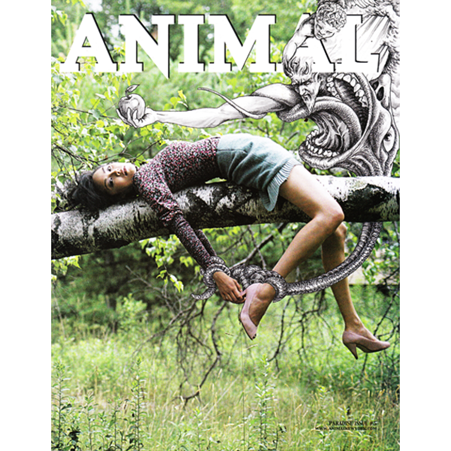 Animal.png