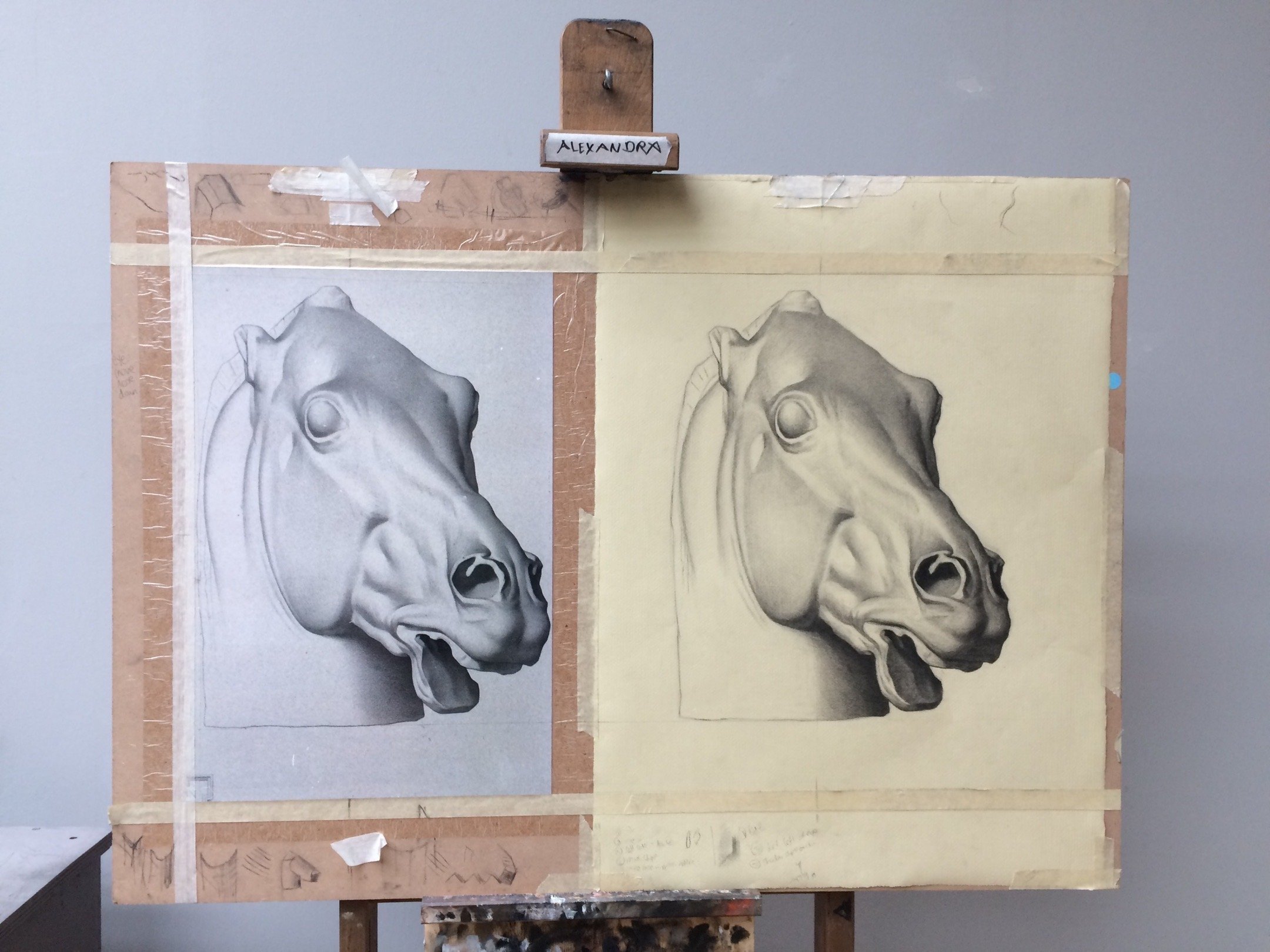Horse head cast drawing 