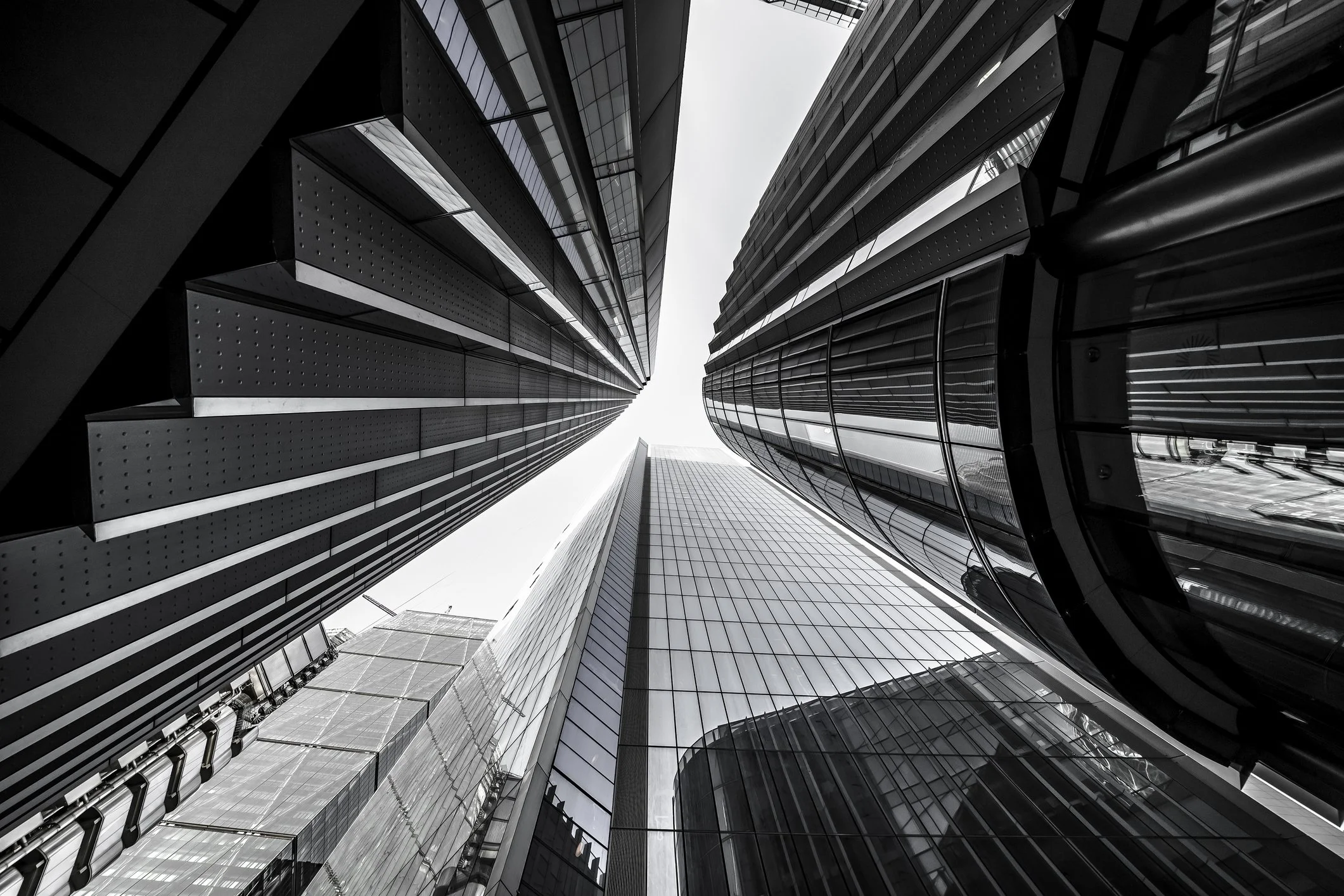 iStock-1438873264.jpg
