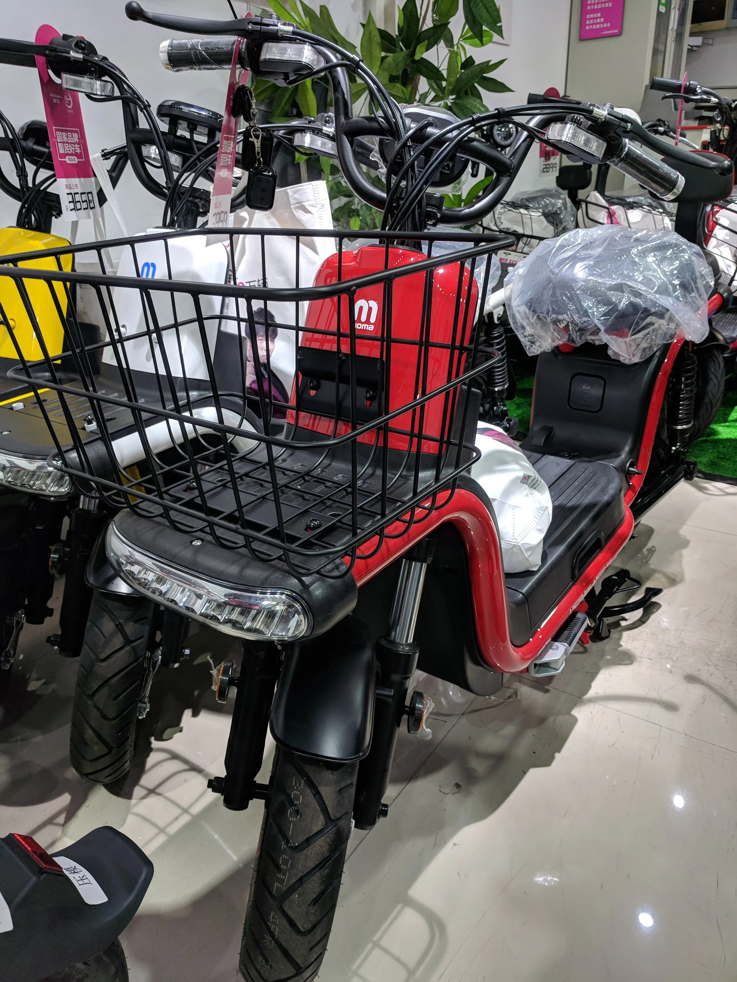 Front removable basket, drum brakes on the front, and bright LED lights.