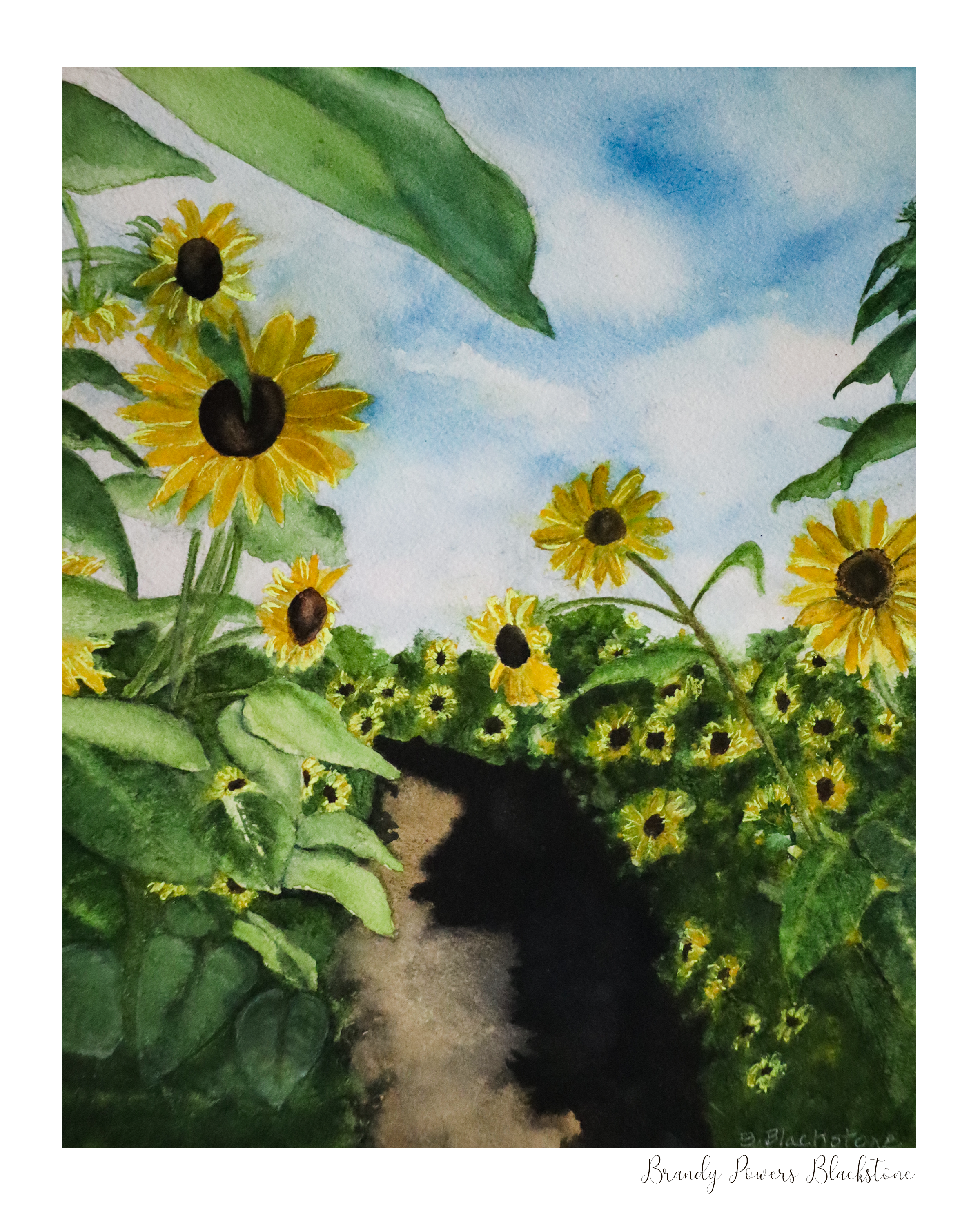 A Walk Among the Sunflowers.png