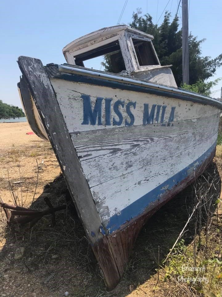 Miss Mila