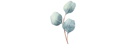 botanical1.png