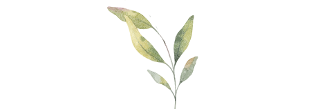 botanical2.png