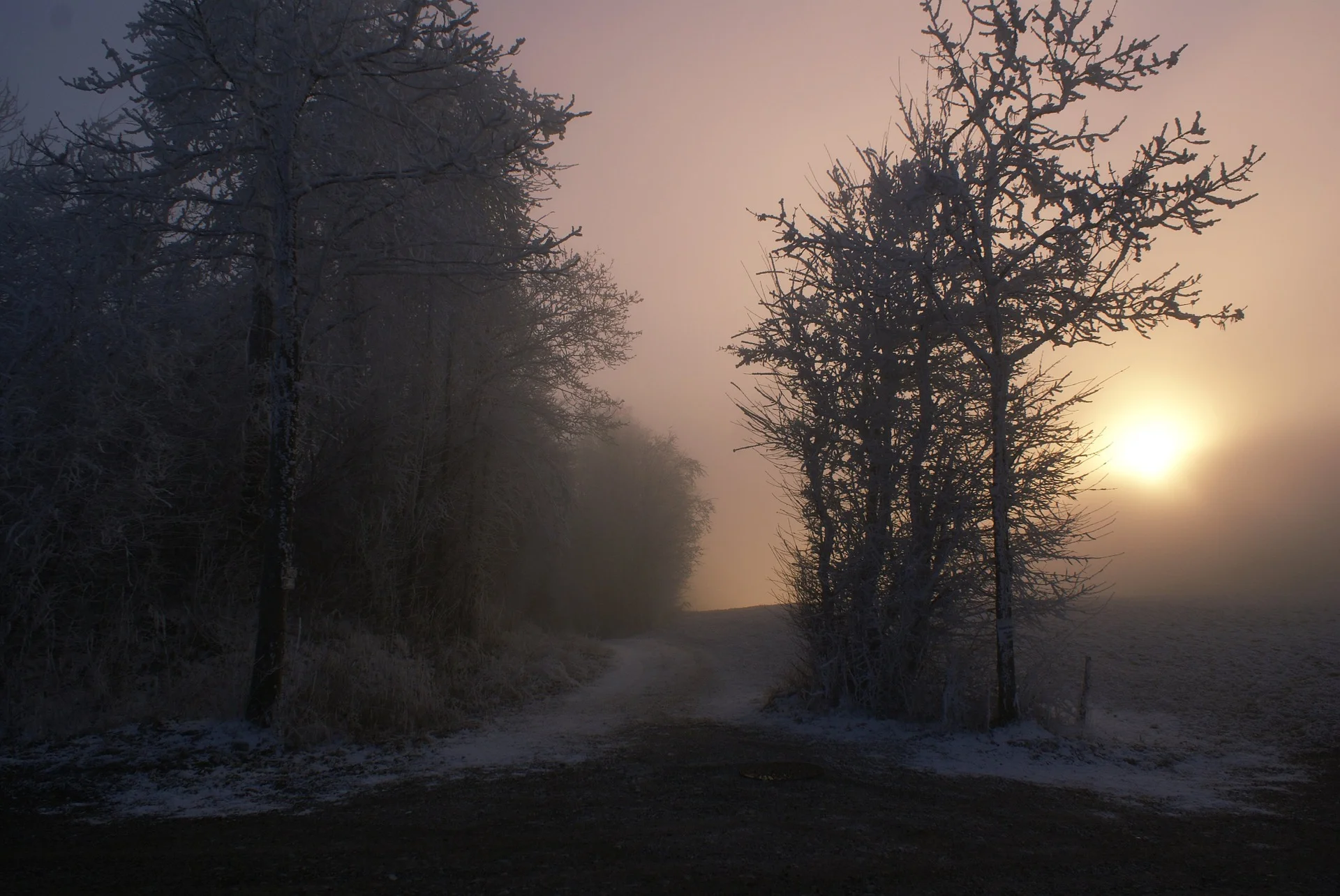 wintersonnenuntergang.jpeg