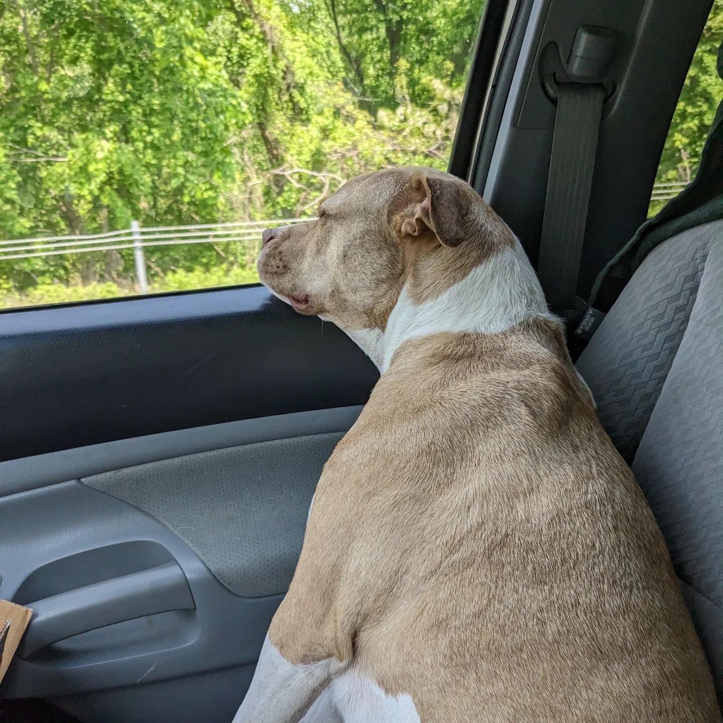 It's not a road trip if your co-pilot doesn't fall asleep in the middle of it 🤣